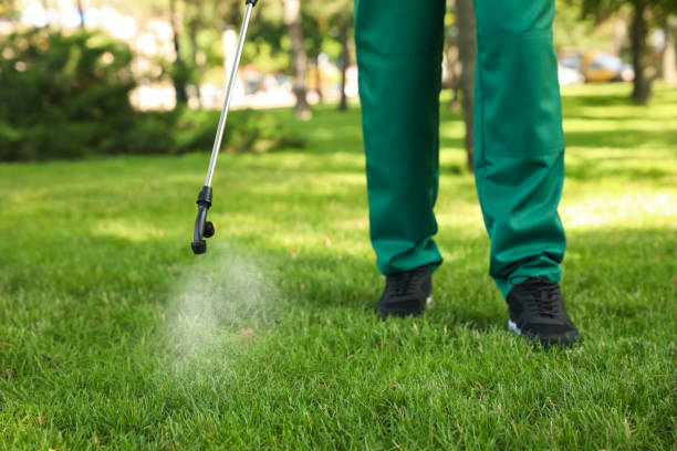 Best Ant Control Services  in Hopewell, VA
